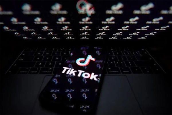 怎么在抖音国际版Tik Tok赚钱？Tik Tok撸美金项目 TikTok 抖音 网赚 博客运营 第1张