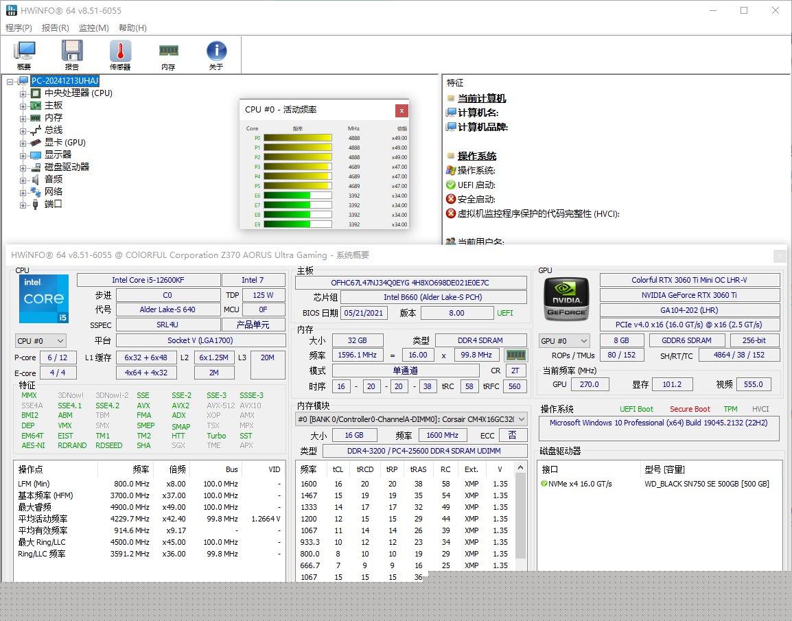 HWiNFO(专业系统信息检测工具) Pro v8.55.6100 多语便携版